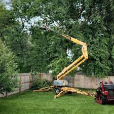 Best Aeration Services  in Nibley, UT