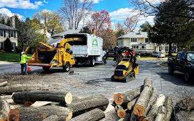 Best Commercial Tree Services  in Nibley, UT