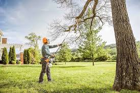 Best Arborist Consultation Services  in Nibley, UT